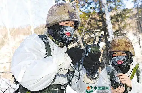 实拍解放军某特种作战团雪野冬训:雪地赤膊格斗[组图]