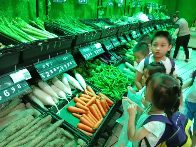 一一占陇华南学校幼儿部笫一阶段暑期生活学习活动精彩回顾