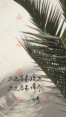 无水印版本请关注微信公众号:七月手写