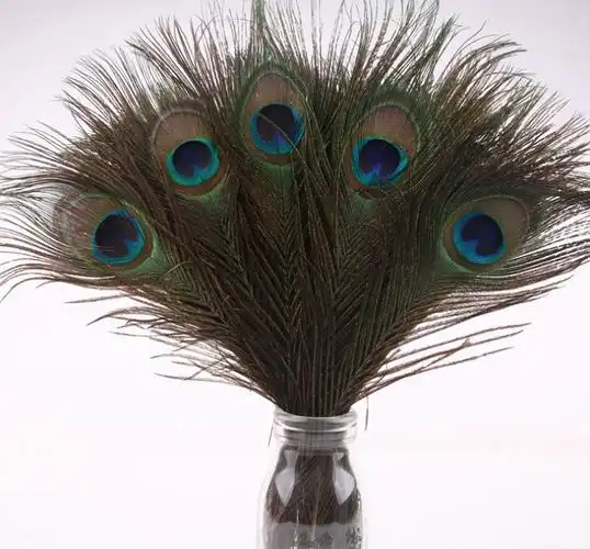 孔雀羽毛孔雀翎尾饰干花客厅电视柜装包邮工艺孔雀翎10支