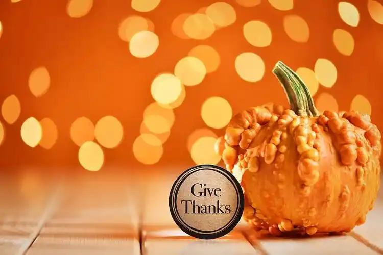 感恩节文案祝福语精选100句