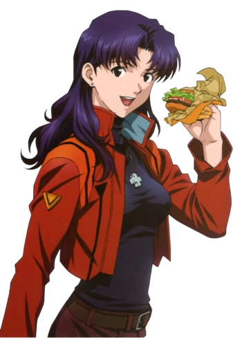 eva葛城美里图片 新世纪福音战士图片