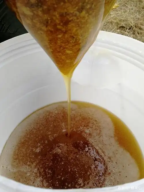 路边养蜂人卖的蜂蜜很便宜,都是真的吗?养蜂专家一语道破真相
