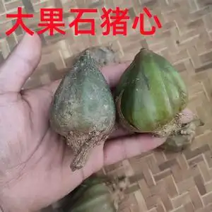 默默仿真花厂家直销淘宝仿真植物墙配叶7叉猪心叶 绿宝石叶 插花