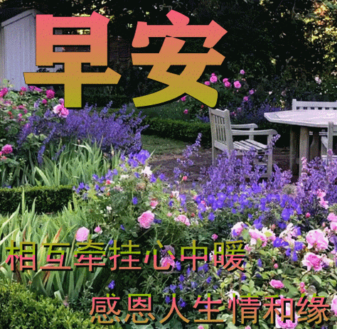 12月1日最漂亮早上好动态表情图片大全,早晨好动图美图大全