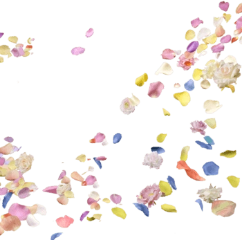 飘落花瓣