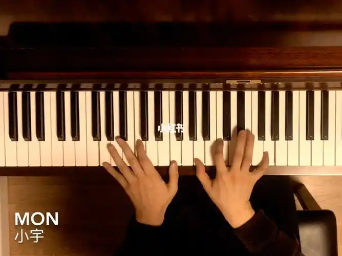 钢琴独奏小宇张震岳