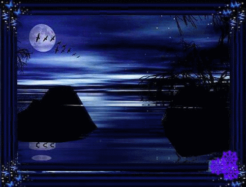 500_380gif 动态图 动图