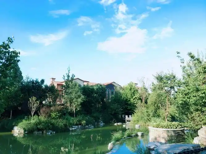 6000万,棕榈滩临湖观景独栋1000平米花园私家电梯泳池2000万入住_北京