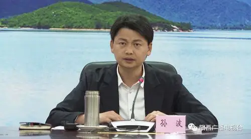 孙波主持召开书记办公会听取阳西方直大剧院设计方案和大洲古村修复