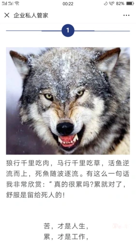狼行千里吃肉,马行千里吃草!