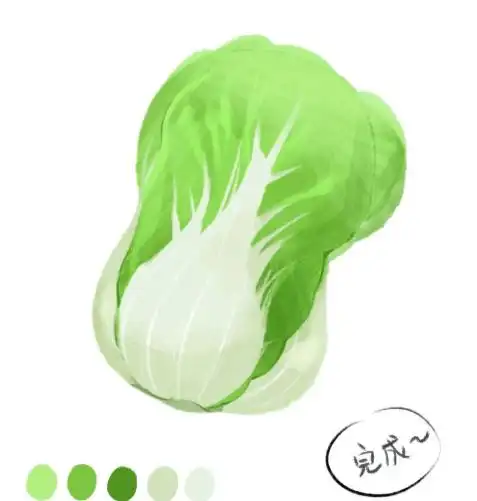 打卡丨美食插画54美食插画娃娃菜的绘制