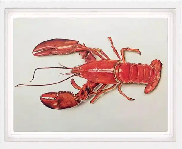 彩铅大虾!