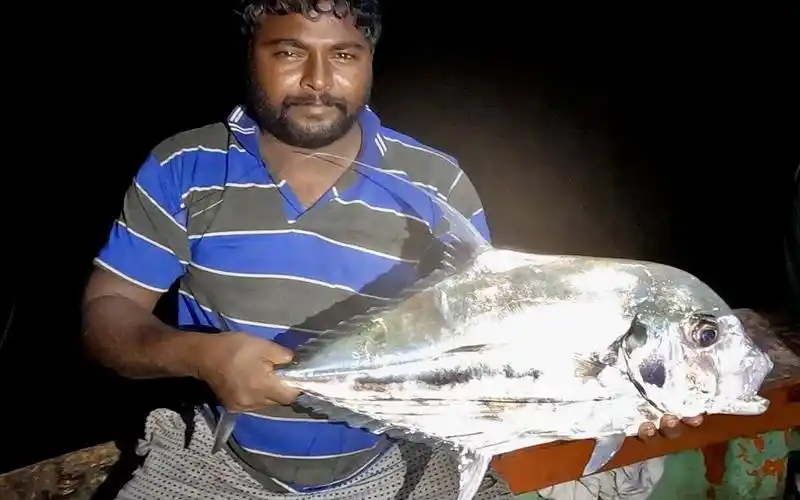 印度三哥深海钓,gt鱼白须公都属于常见鱼种,让大家见识一下高手的技术