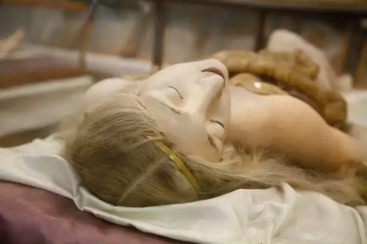 解剖维纳斯从尸体中诞生的女神在注视下被层层肢解