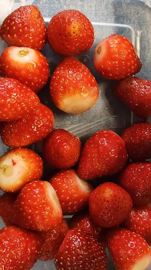 自己拍的冬天的第一颗草莓