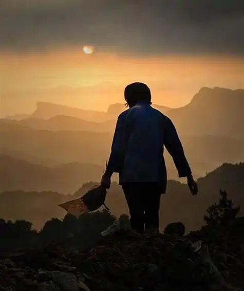 重病老人术后离家出走,真相让人泪奔