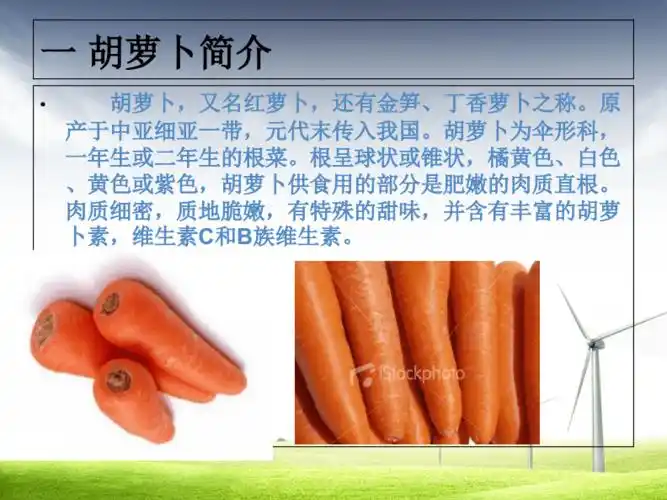 胡萝卜栽培技术课件分解.pdf