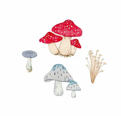 水彩手绘,蘑菇简笔水彩画,可爱的各种蘑菇