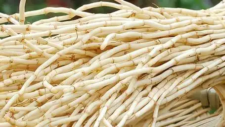 折耳根的五种养生功效