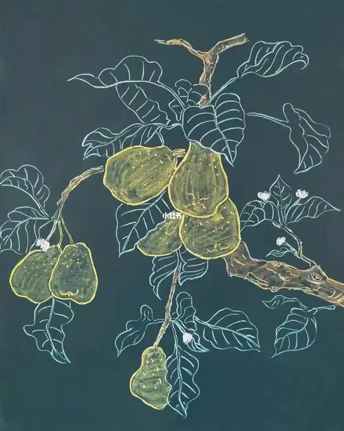 黑板粉笔画山梨