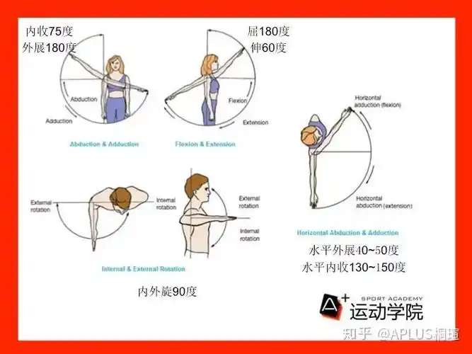 常用肩关节损伤评估