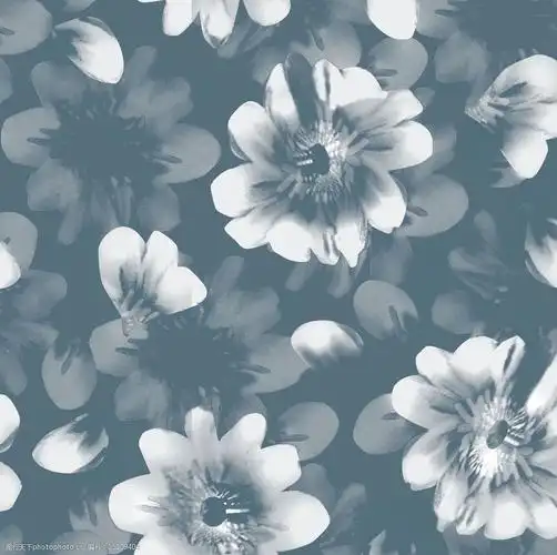 关键词:服装面料 纺织品花样 底纹图案 抽象底纹 底纹素材 纺织品设计