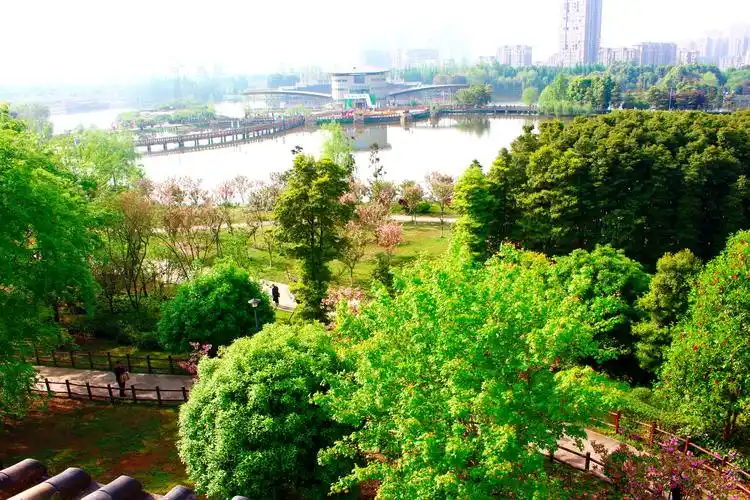 四川 成都 凤凰山公园