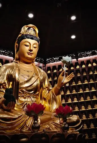 送你三胎相应号召东海观音寺登高