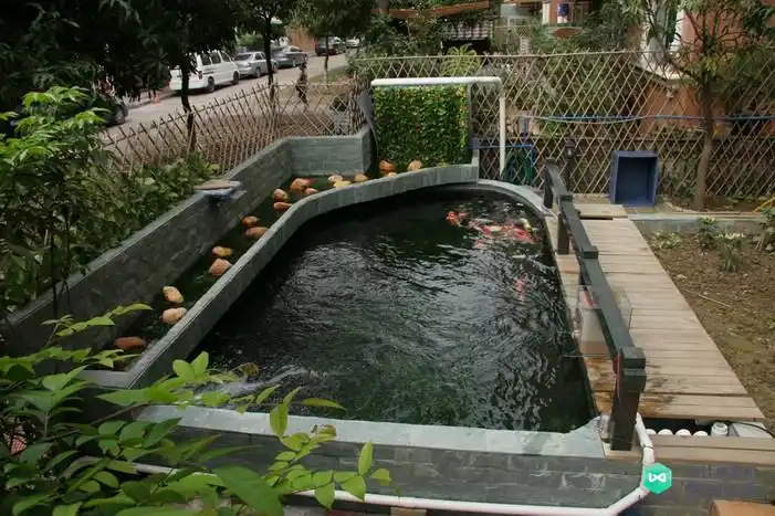 庭院鱼池都有哪些样式庭院鱼池样式图