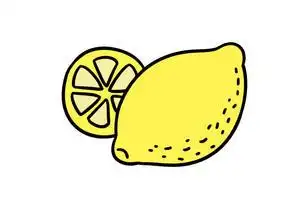 柠檬简笔画