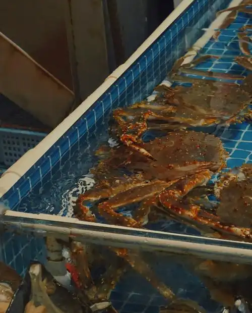 厦门八市海鲜市场