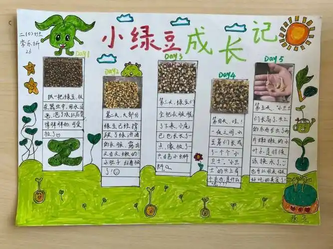绿植小园丁 劳动润童心 ——泰州实验学校"绿植小园丁"劳动课程实践