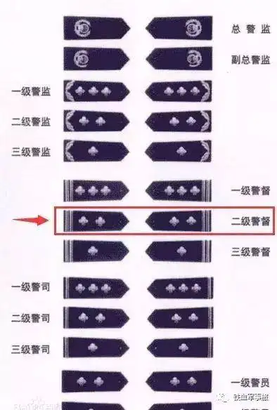 解读:肩章上"两杆两星"是什么级别的警察?一般担任这个职务!