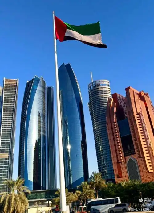 阿联酋的国旗有四种颜色,分别是红,绿,黑,白.