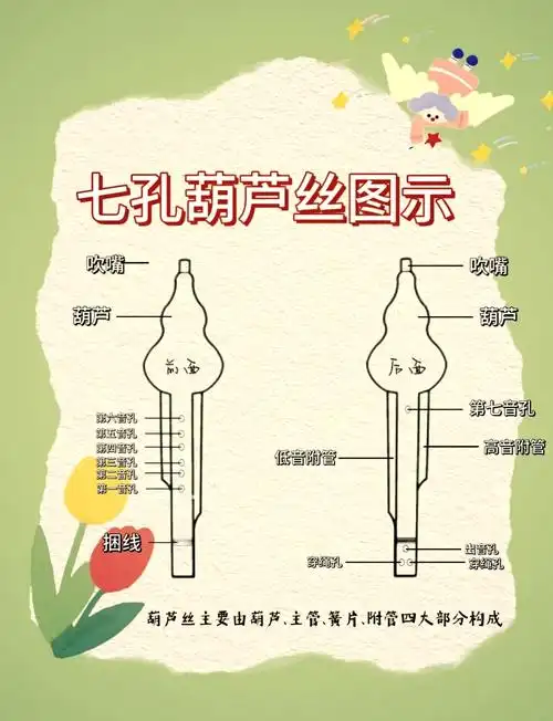 🎶葫芦丝入门指法图解🎶