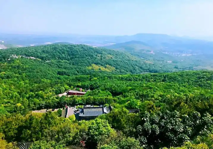 山谷里,春天正在加速生长中待到山花烂漫时一起奔赴金坛茅山的春海里