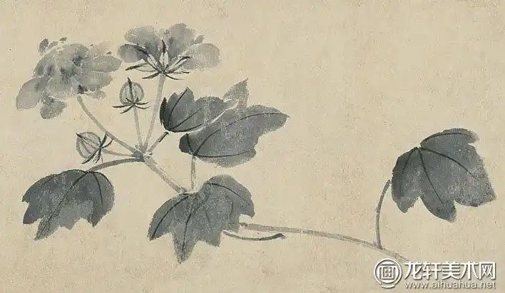 沈周《墨笔花卉八种图卷》-沈周水墨花鸟画全卷高清大图赏析