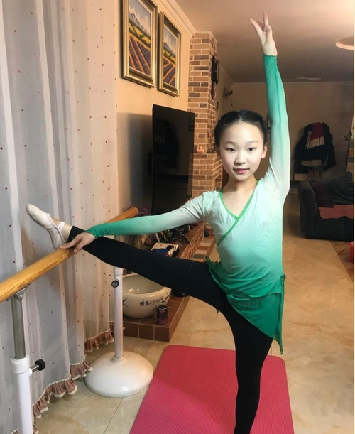 赵一菡 临沂三河口小学五年级三班