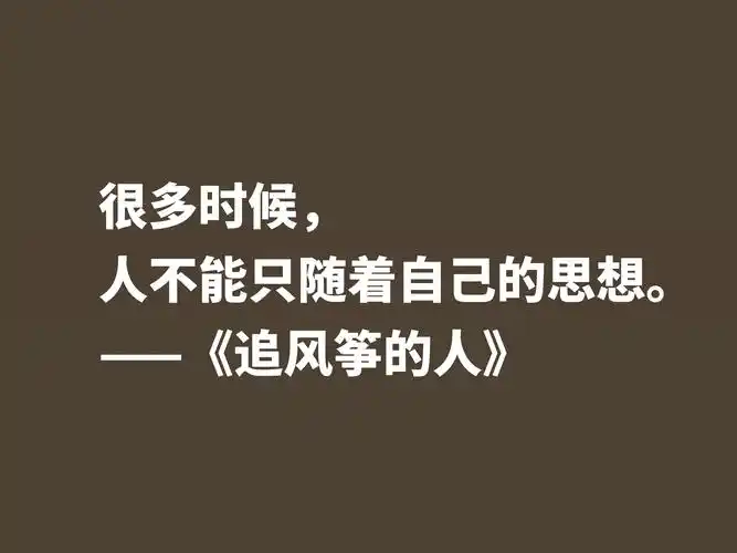 一口气读完的小说,《追风筝的人》魅力无限,这十句格言堪称经典