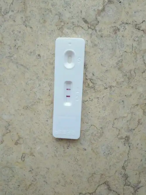 1.1.2号早孕试纸阳性,希望健康发育