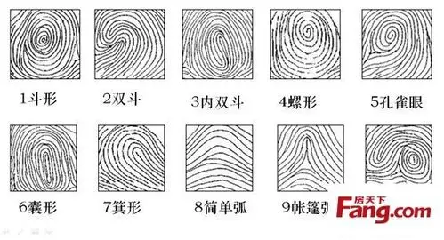 最强大脑解密:3个数字搞定指纹