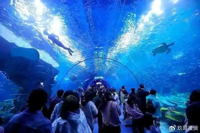 天津海昌极地海洋公园坐落在滨海新区响螺湾商务区,是以极地海洋文化