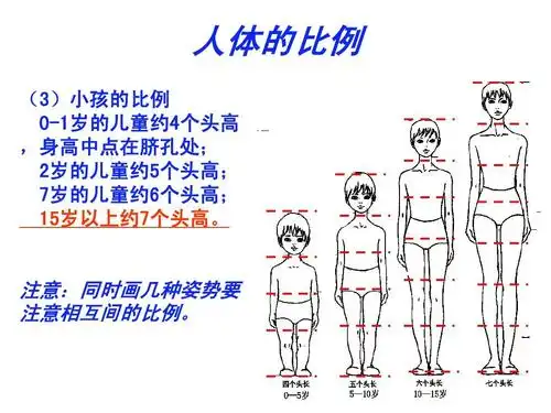 第1课时ppt 人体的比例 (3)小孩的比例 0-1岁的儿童约4个头高 ,身高