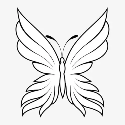 关键词 : 蝴蝶,手绘蝴蝶,铅笔图,对称图,涂色底图,插图