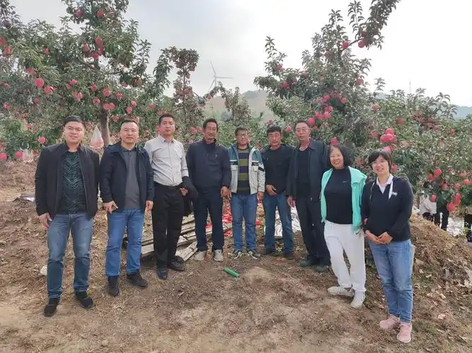 优质高效栽培技术培训现场会在义县张家堡镇宝林湧航果蔬家庭农场召开