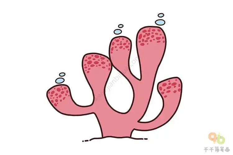 珊瑚简笔画教程