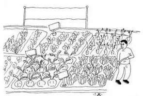 菜园怎么画春天的菜园怎么画