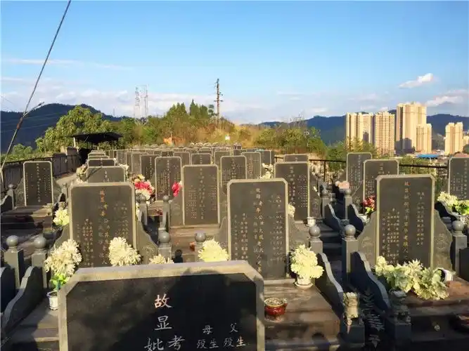 青龙山公墓 16已人浏览