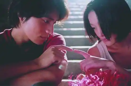 周迅陈坤主演《鸳鸯蝴蝶》锁定情人节档期(图)